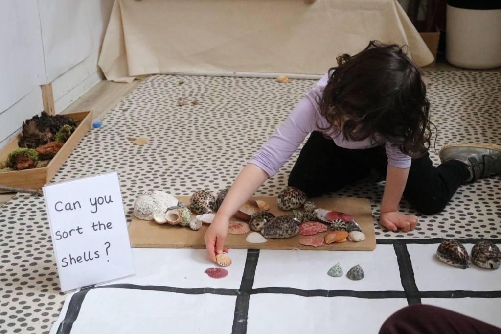 A picture of a EC student doing a maths activity using sea shells, with a sign saying 'Can you sort the shells out?'.