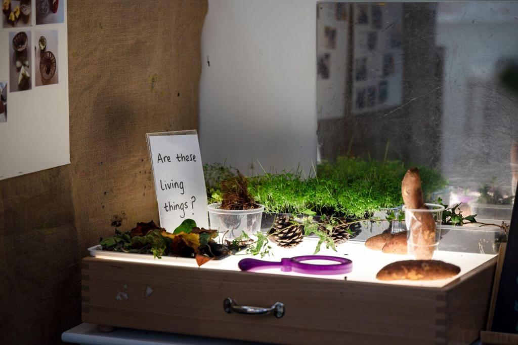 A picture of some plants on a table with a sign saying 'Are these living things?'.